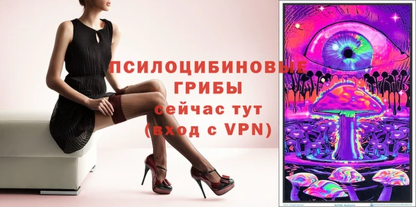 ешки Ладушкин
